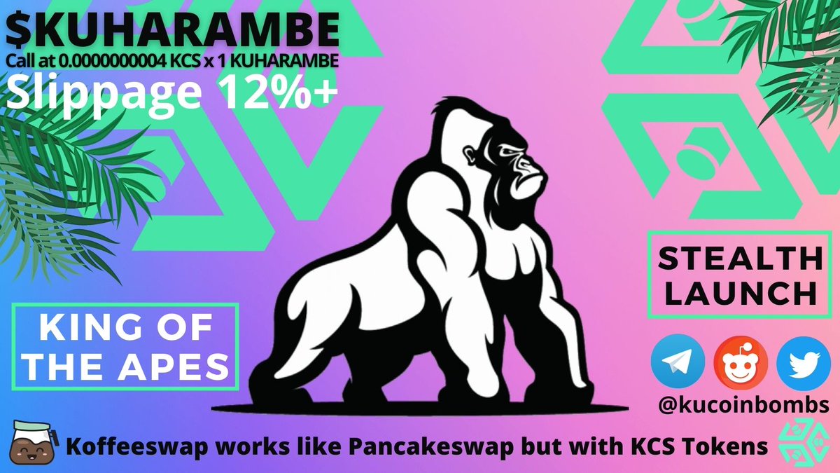 kucoinbombs's tweet photo. Today's call is #KUHARAMBE the King of Ape's it's a brand new deflationary, passive income generation token on #KCC Network! Holders are rewarded and sellers get rekt! Stealth Launch only 20+ Holders right now, could x20 x50 DYOR! #KCS #Kucoin #Kccbombs #Gem #Crypto @kucoincom https://t.co/7NbSqYJLEJ