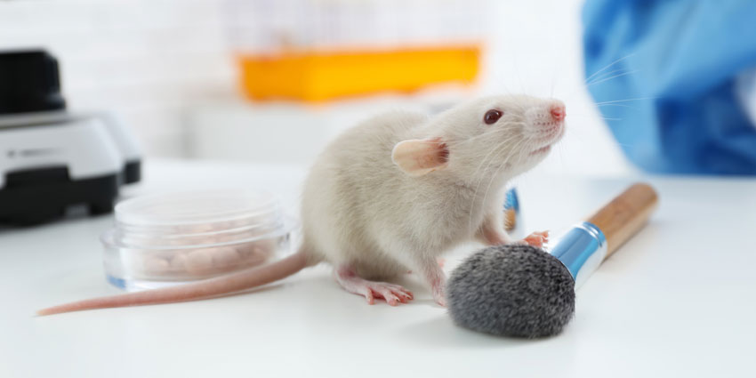 📣 BASF and Givaudan Develop First OECD-Approved Animal Test Alternatives!

SOURCE ---> t.ly/blMl

#Cosmetics #AnimalTest #CosmeticRegulation #CosmeticSafety  #CosmeticProduct #CosmeticIndustry