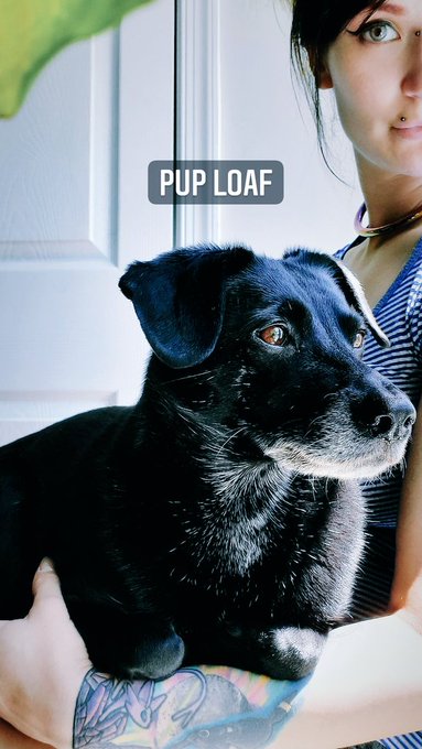 Dealing with some shit right now, so sorry if I'm kinda quiet https://t.co/VWanxnXUe4<a href="/tag/fetish"class="tags"><span>#fetish</span></a><a href="/tag/pornhub"class="tags"><span>#pornhub</span></a><a href="/tag/bondage"class="tags"><span>#bondage</span></a>