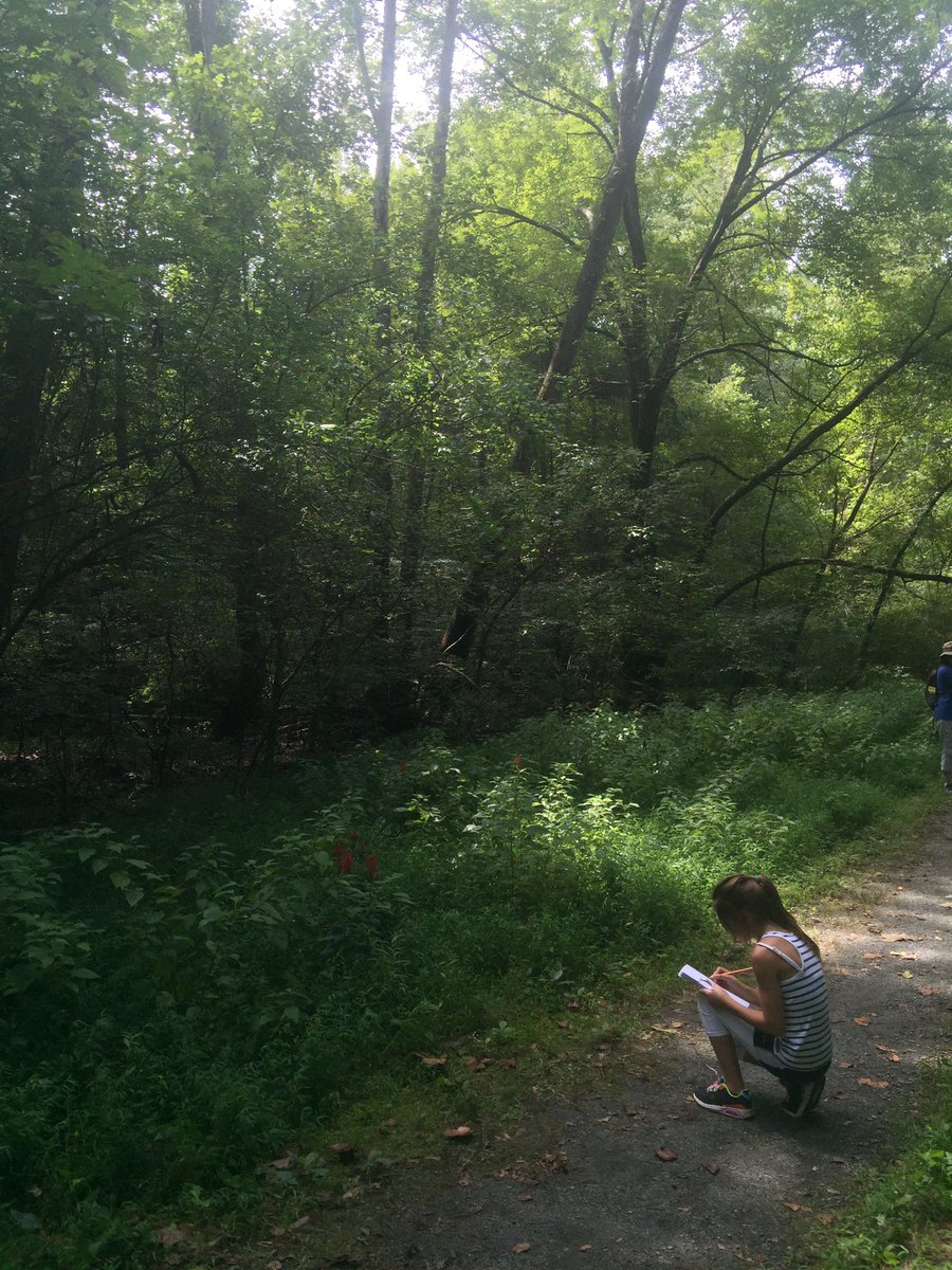 pammoran tweet media