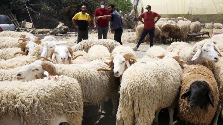 EL BILAD - البلاد tweet media