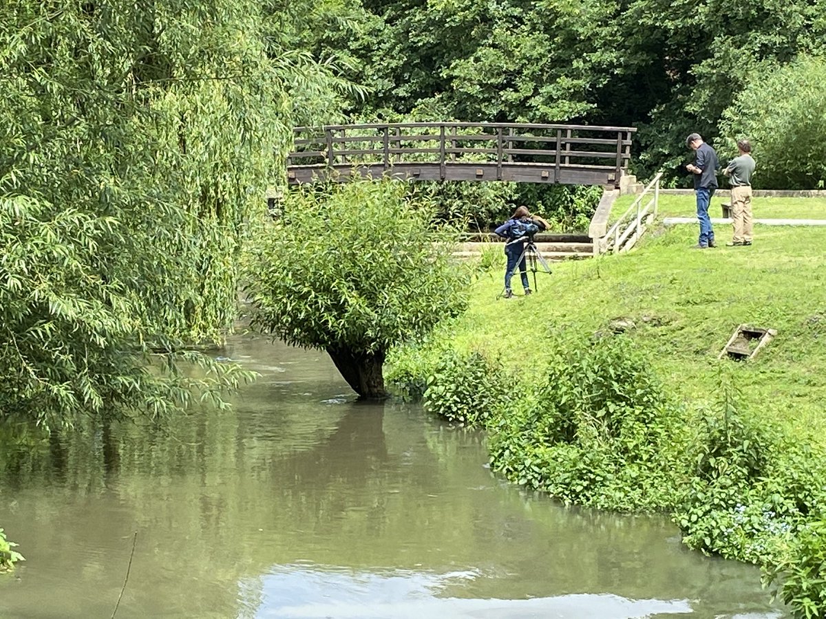 Feargal_Sharkey's tweet photo. Wild brown trout, water voles and grass snakes aren’t the only things you’ll find at the @amwellmagna even it transpires the occasional @Channel4News crew. More tonight. https://t.co/e0xbVAYY0w