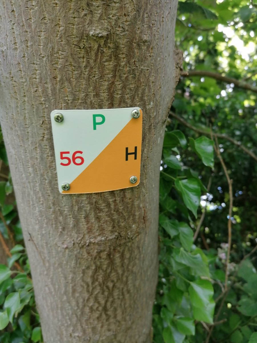 Beautiful view of the Malvern Hills as I'm setting up a gold package for The Chase Academy.