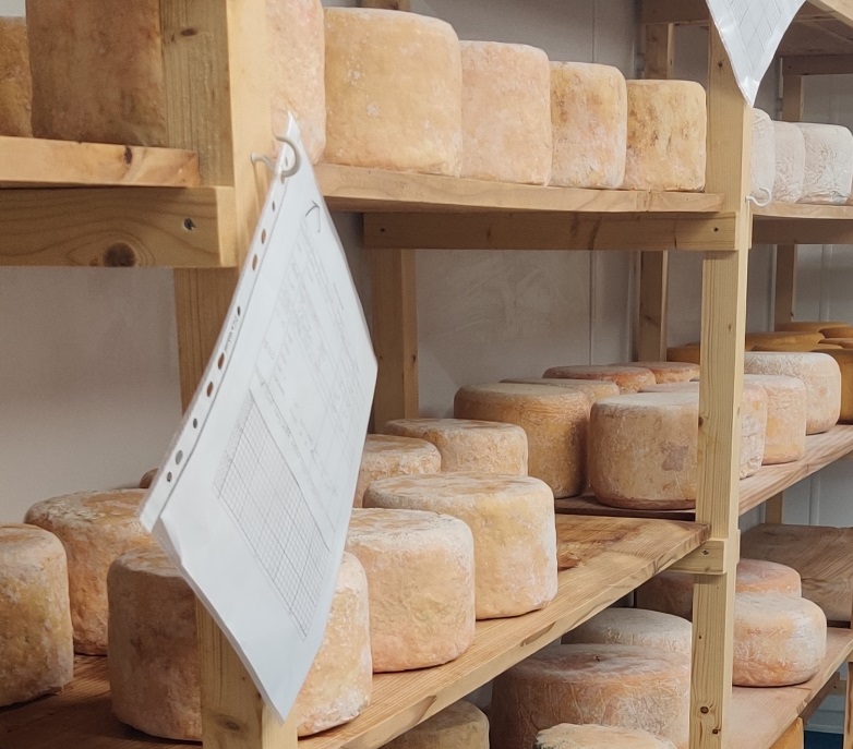 All this cheese is ready to fly off the shelves this weekend!

FRIDAY
Cookham 

SATURDAY
Reading
Woodstock
Flackwell Heath

SUNDAY
Berkhampstead
Chiswick Cheese Market

Our fresh local cheese will go perfectly with a glass of wine this sunny weekend. ☀️😎☀️