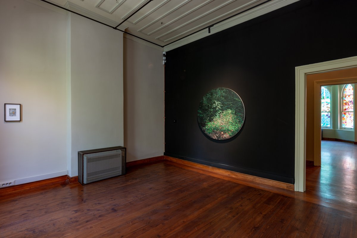 Doğanın kendisine var olan zaman, emek, sabır ve detay kavramlarına odaklanan “Sabırla Bekleyen Büyülü Şeyler” sergisini küratörü Sezgi Abalı ve koordinatörü Bahar Güneş ile <a href="/Dem_oyku/">Öykü Demirci</a>'nün söyleşisi yayında!

Okumak için: bit.ly/3xC0qkP