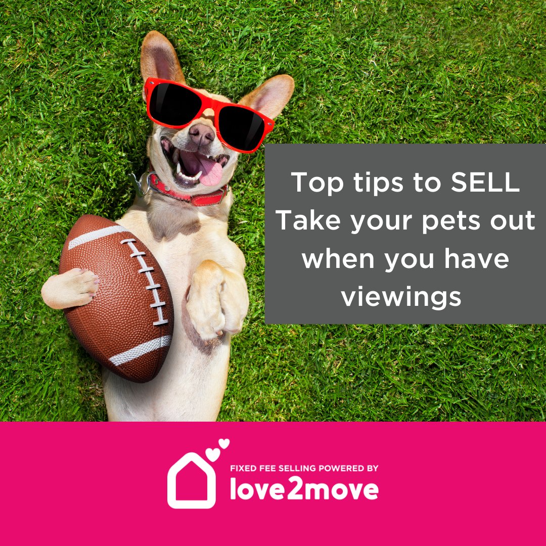 You may love your pets, but not all buyers will. 
It is recommended to make sure your pets are out of sight on viewings, try asking someone to walk the dog when you have viewings.
#TuesdayTipsToSell #fixedfeesellingpoweredbylove2move #flexible #lowcost #control #keepingyoumoving