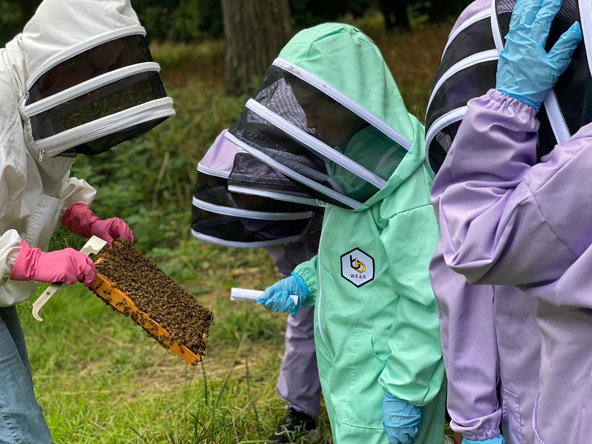 sfmtweet's tweet photo. More bee enthusiasts have been visiting the wonderful apiary @RBKC_Ecology as part of our #honeybeeprogramme 

@CDPS_Southwark @BrecknockSchool https://t.co/kGtVxDhpst
