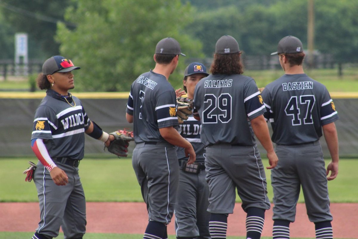 Michigan Wildcats 17u tweet media