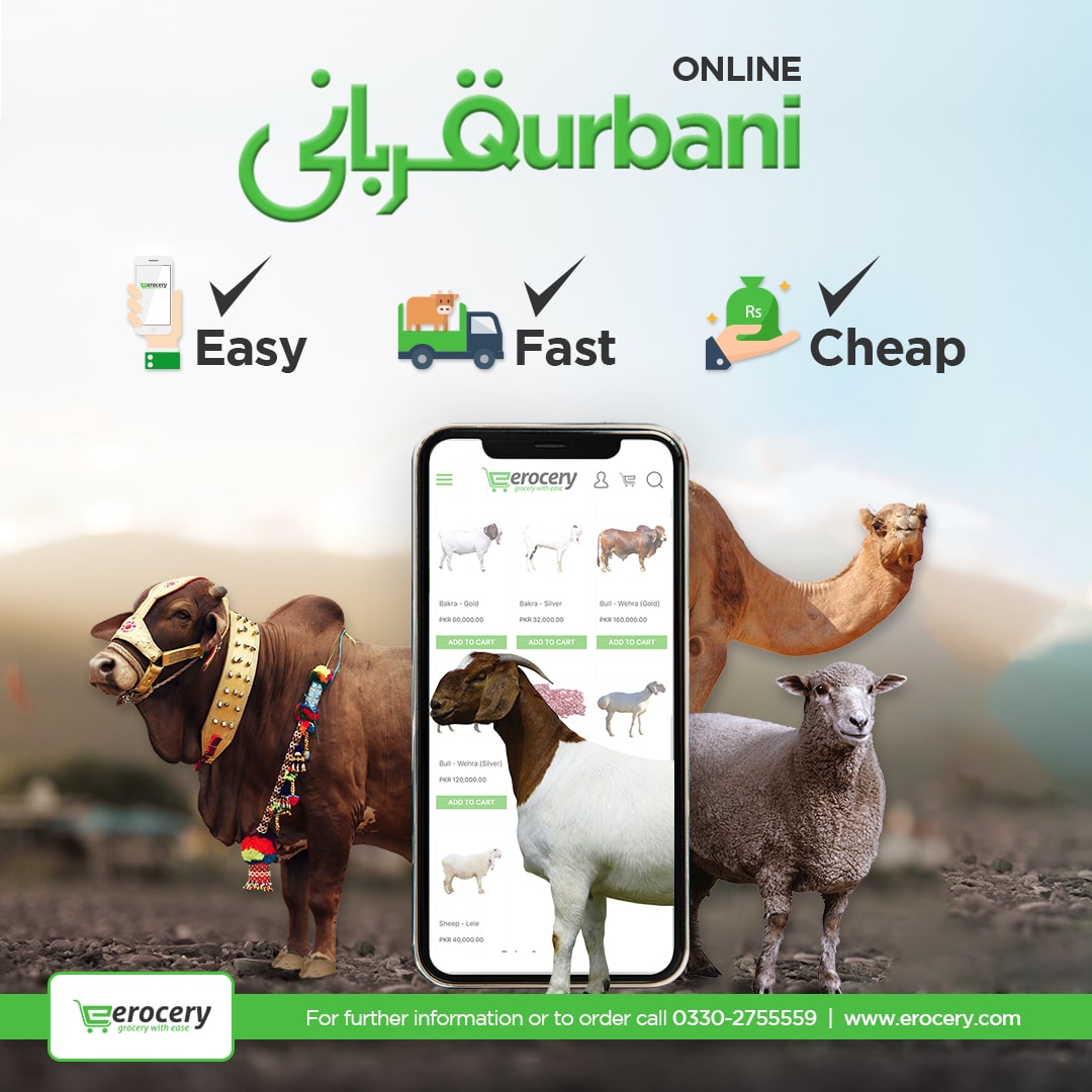 erocery's tweet photo. Erocery offer Best online qurbani service. Book your Qurbani animals from Erocery at cheap rates. Visit at Erocery and Choose your desired animals for Qurbani.
Shop Now:https://t.co/NUetRqwods
#Erocery   #onlinequrbaniservice #onlinequrbani #qurbanionline #qurbaniservice https://t.co/oJlfyEUZrb