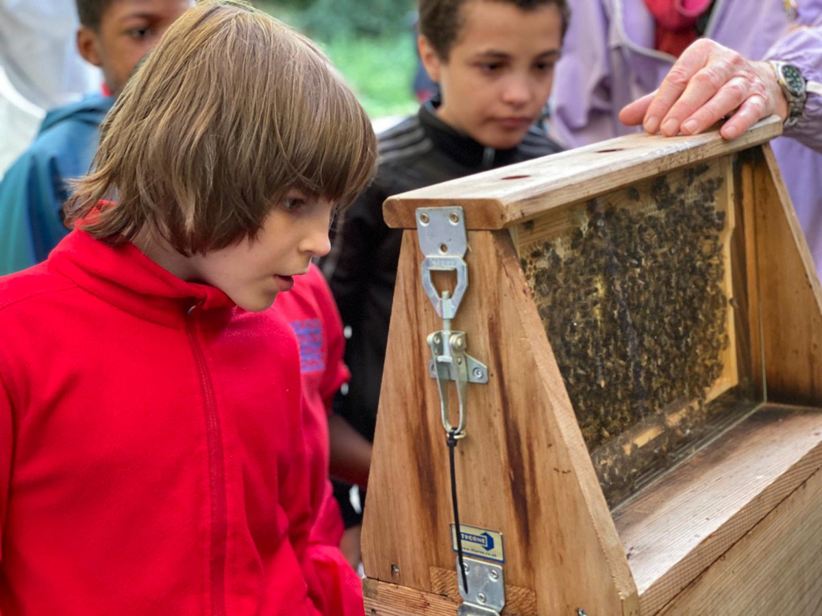 sfmtweet's tweet photo. More bee enthusiasts have been visiting the wonderful apiary @RBKC_Ecology as part of our #honeybeeprogramme 

@CDPS_Southwark @BrecknockSchool https://t.co/kGtVxDhpst