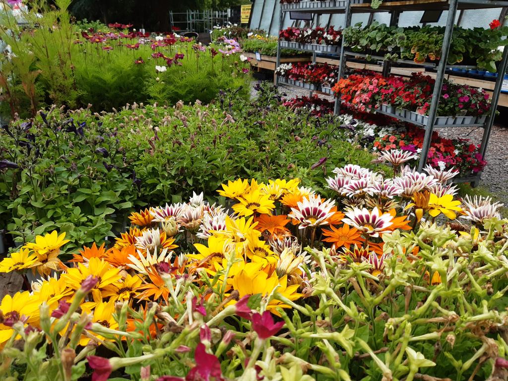 2 for 1 on all summer bedding packs, while stocks last. Grab a bargain while you can.