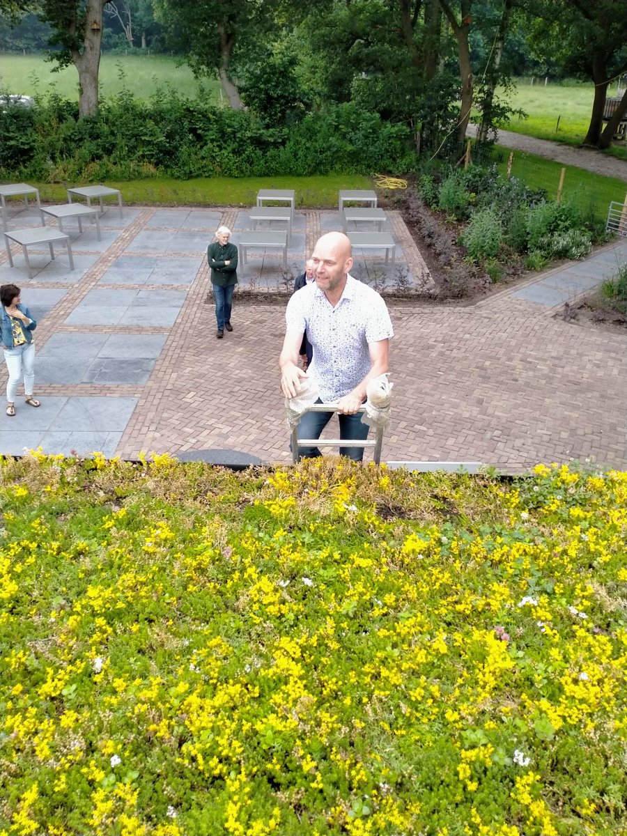 CDA Emmen tweet media