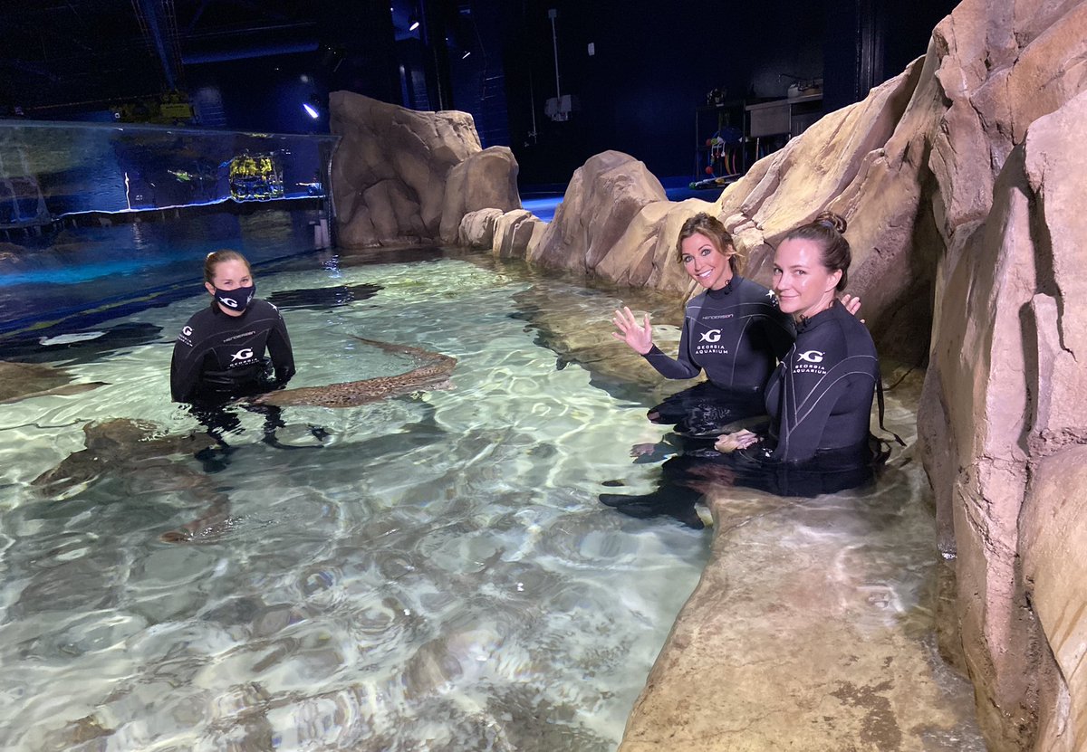 Atlanta & Company tweet media