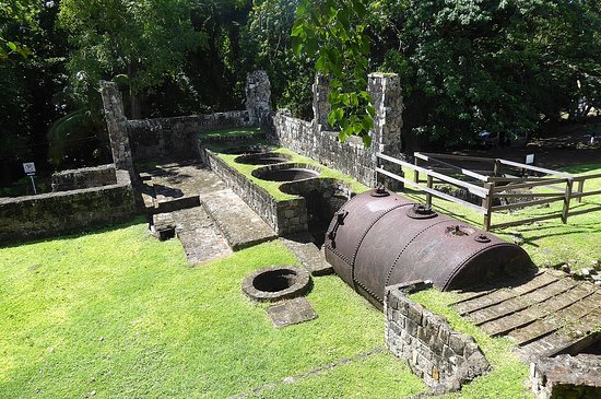 caribbeanjm's tweet photo. "The Wingfield Estate was first established to produce tobacco. Cotton and indigo were also grown during the early years. The estate switched to sugar and rum production in the middle of the 17th century, and this continued until about 1924. " https://t.co/fZqvsz5hyy
