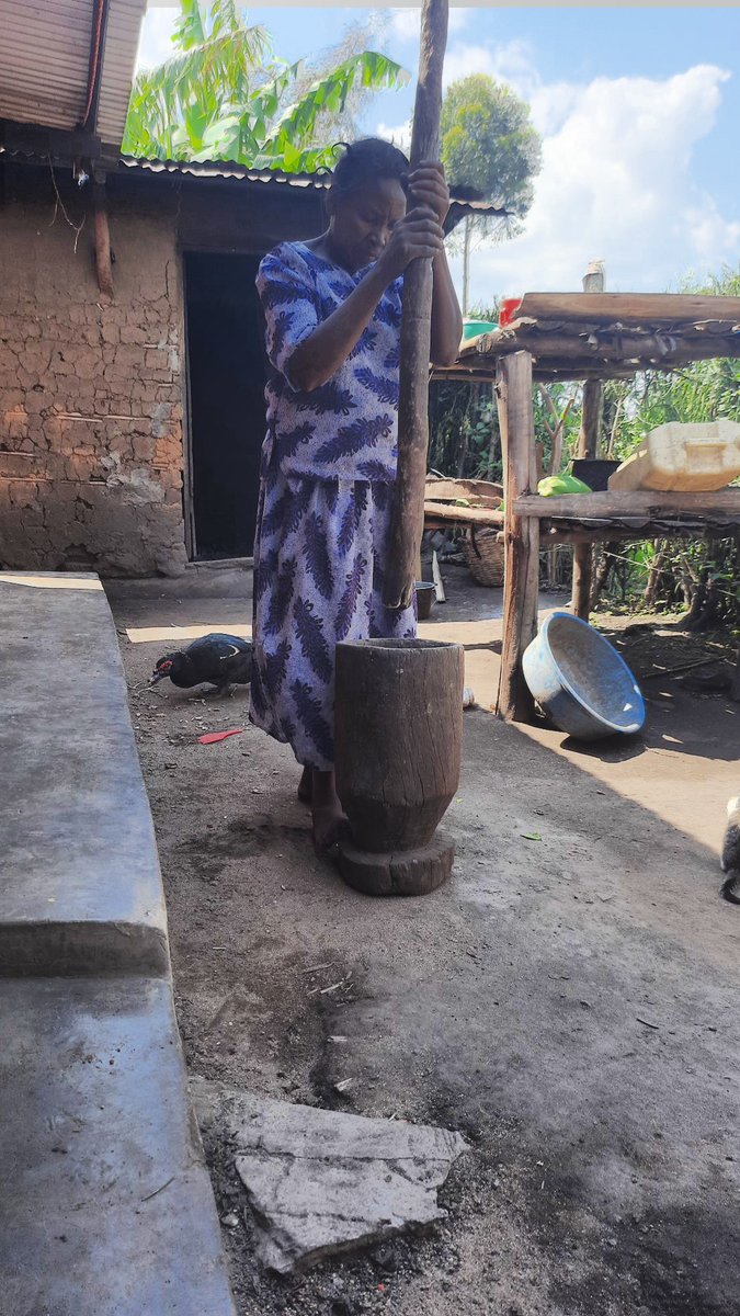 worthwhileAfri1's tweet photo. Enjoy a Cultural African Village  during your Safari in Uganda Experience African Life and Cultural Traditions and take part in day to day local activities and behave like a local 
#Africanculture #villageexperience #localvisit #VisitUganda https://t.co/zzV8rq8jOt