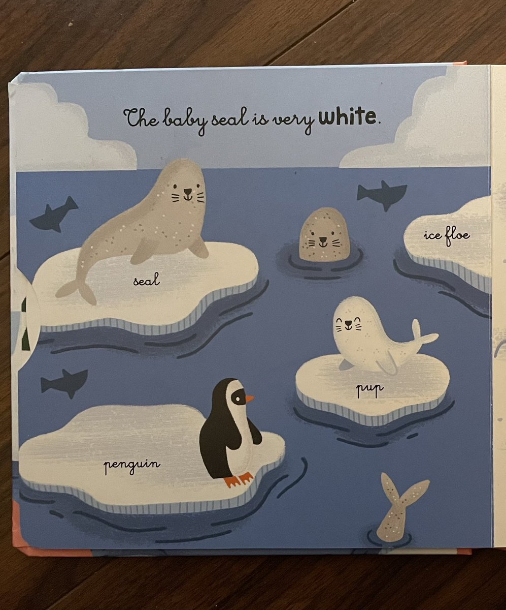 JoleneHansell's tweet photo. This book is more accurately titled, “Animals of the Far North &amp; One Very Lost Penguin”. 

@AuzouPublishing 

#stayinschool #geography https://t.co/fsD2390Zfw
