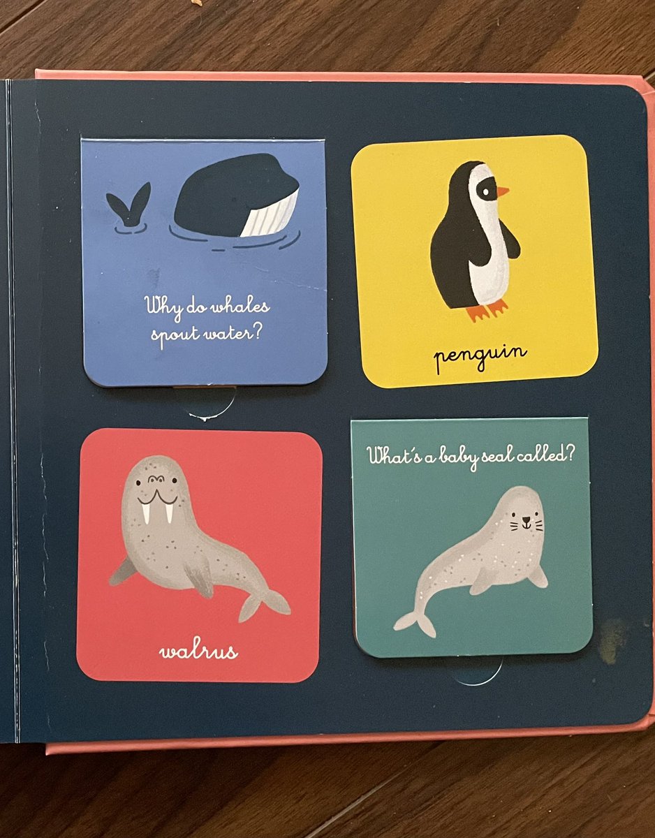 JoleneHansell's tweet photo. This book is more accurately titled, “Animals of the Far North &amp; One Very Lost Penguin”. 

@AuzouPublishing 

#stayinschool #geography https://t.co/fsD2390Zfw