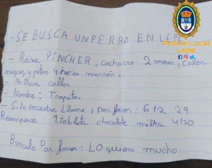LaRuletaSuerte's tweet photo. REGALA UNA CHOCOLATINA AL QUE ENCUENTRE A SU PERRITO 
Un niño de Lepe, Huelva, ha escrito de su puño y letra un anuncio en el que pide la colaboración ciudadana para encontrar a 'Trapito', que ha desaparecido. Como recompensa ofrece una tableta de chocolate a quien lo encuentre. https://t.co/V37mrKvgJG