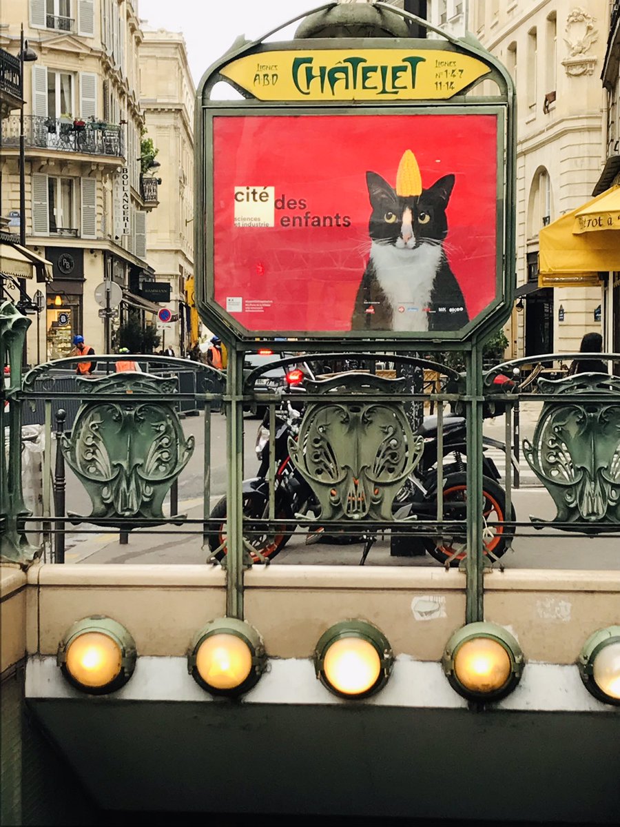 karine_emonet's tweet photo. Love my #job ♥️ #picoftheday #paris #catstagram #PrincessCheeto @citedessciences #CiteDesEnfants https://t.co/VwSBZSZ1tO
