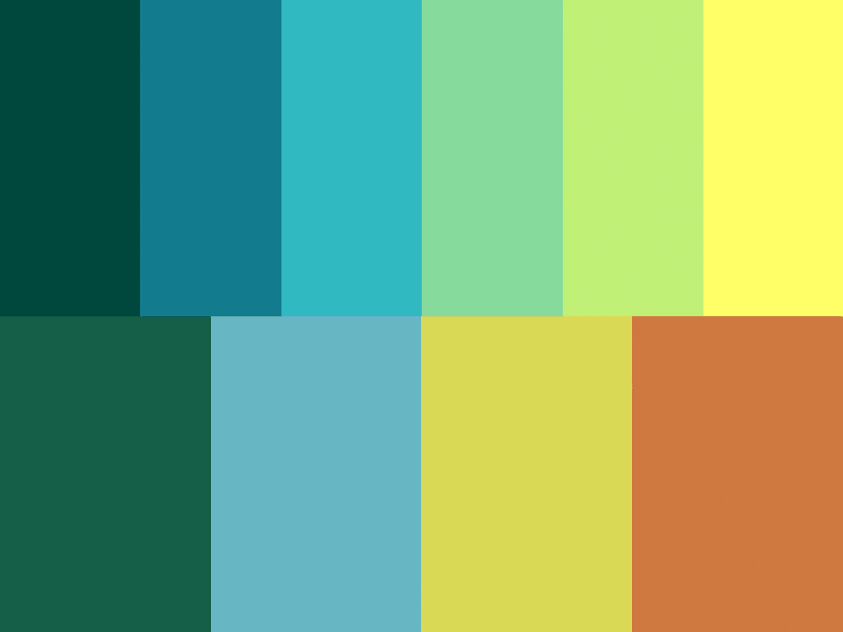 🕶️ Have you checked out the new style of the BioTIME website? 

👉 biotime.st-andrews.ac.uk