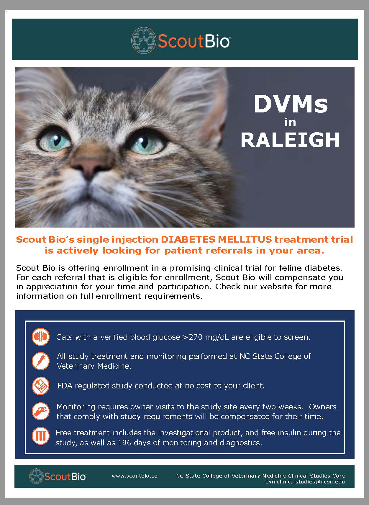 Cat diabetes top treatment cost