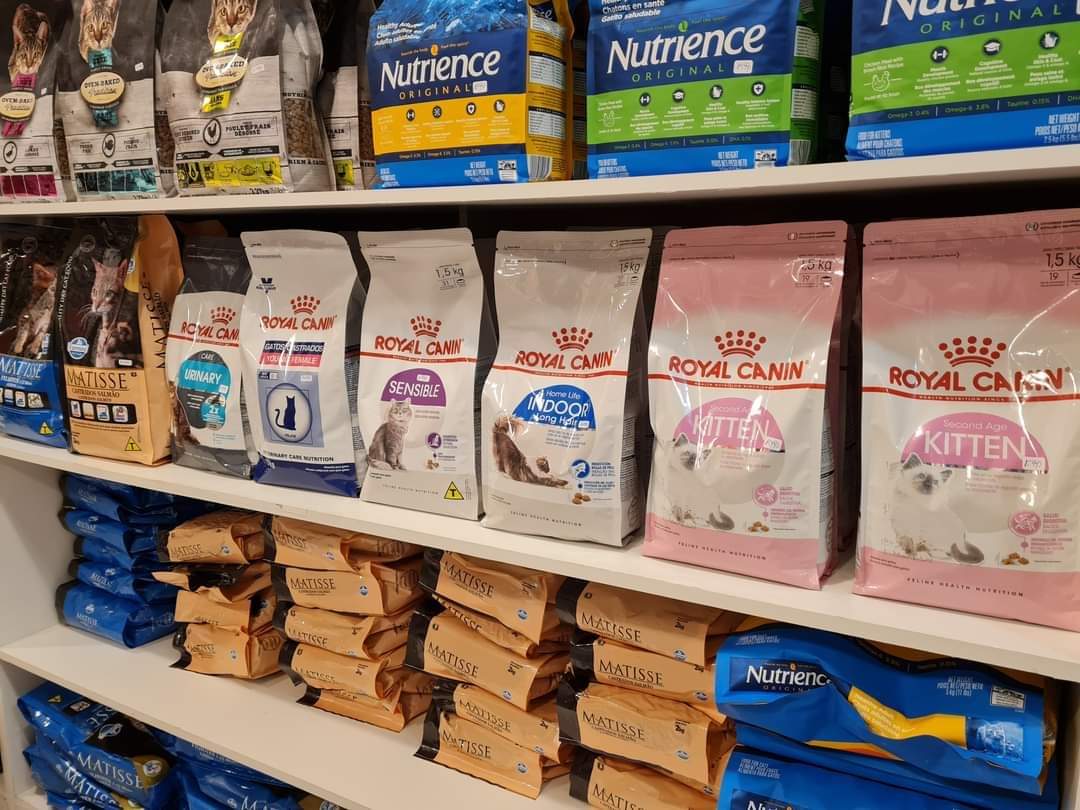 JuguetesToka's tweet photo. [ LIDER EXPRESS #OSORNO ] Tu gatito bebé y #kitten 😽 necesita una alimentación especial. Tenemos amplio stock de alimentos kitten... #Matisse Kitten.. #Nutrience Kitten.. # Royal Canin kitten ... Oven Backed... Bravery y mucho más.... Toka Pets 
#LIDEREXPRESS Osorno https://t.co/evyQt1RU6R