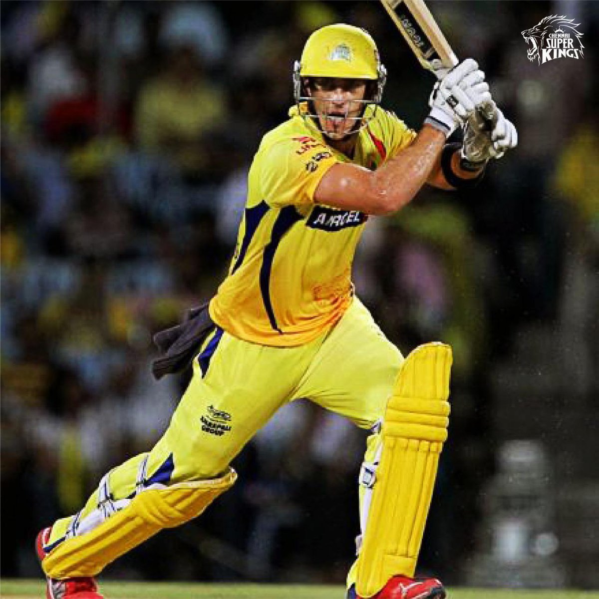 ChennaiIPL's tweet photo. A 𝗙𝗔𝗙𝗳𝗼𝗿𝘁 at every turn! 🔥

More than one season to celebrate our very own Mr. Dependable! 😍

 #WhistlePodu #Yellove 🦁💛 https://t.co/wrvcBiWTmJ