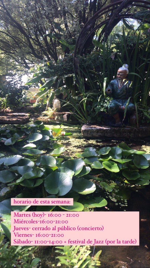 Los horarios para esta semana 🌿🌿