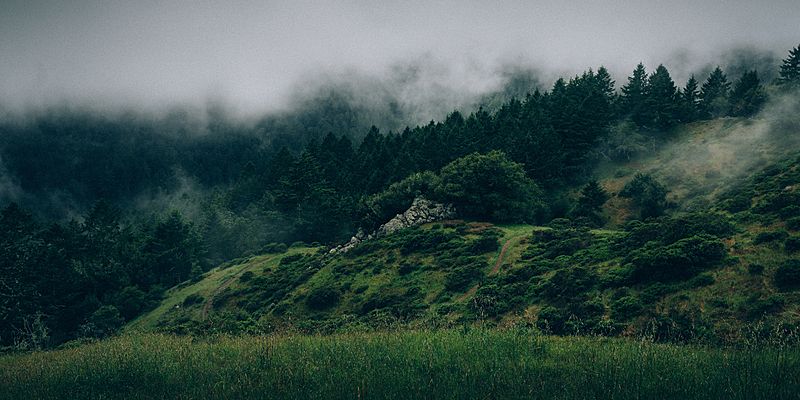 superhivemarket's tweet image. Create Nature in Seconds! Sequoia allows you to create natural landscapes with the click of a button. It combines together a vast asset library and the power of the Blender particles system. All packed in one clean and intuitive user interface. blendermarket.com/products/sequo…