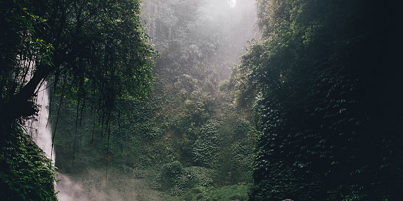 superhivemarket's tweet image. Create Nature in Seconds! Sequoia allows you to create natural landscapes with the click of a button. It combines together a vast asset library and the power of the Blender particles system. All packed in one clean and intuitive user interface. blendermarket.com/products/sequo…