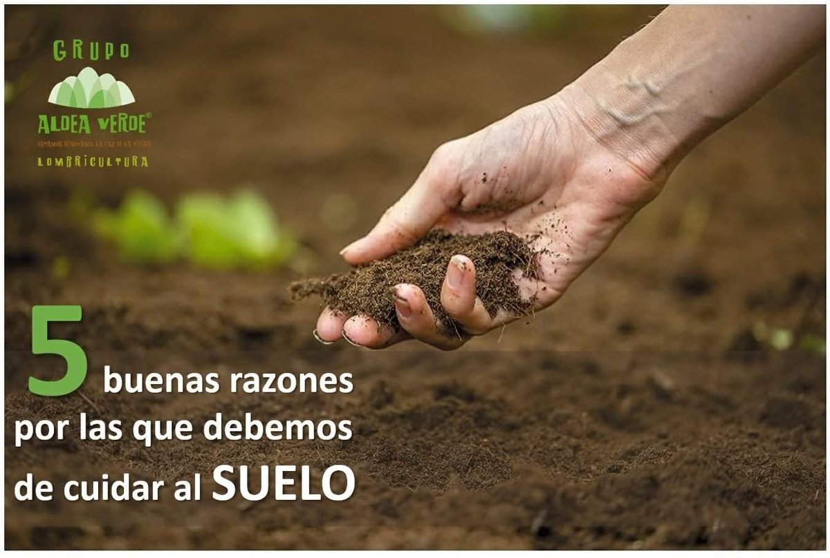 AldeaVerde1's tweet photo. URGENTE CUIDAR EL POCO SUELO QUE NOS QUEDA,

Aquí 5 buenas razones

#suelo #soil #medioambiente #basedelavida #sinsuelonohaynada #residuos #circular #composta #lombricomposta #lombriz #biodiversidad #desertificación https://t.co/g1bGBW6UEj