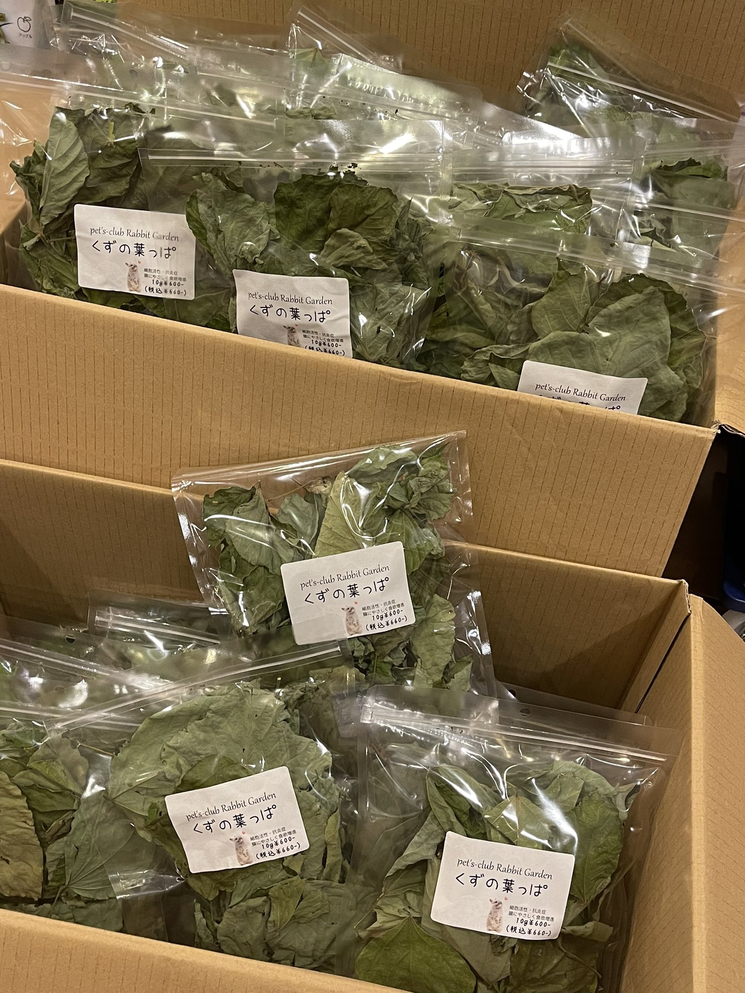 うさぎ専門店ペッツクラブ 出来たてほやほやのくずの葉っぱ ギリギリ間に合い本日入荷 ラビットガーデンシリーズ 新鮮です ペッツクラブ 乾燥野草 乾燥野菜 うさぎのおやつ うさぎグッズ うさぎ専門店ペッツクラブ 出来たてほやほやのくずの葉っぱ ギリギリ間に合い本日入荷 ラビットガーデンシリーズ 新鮮です ペッツクラブ 乾燥野草 乾燥野菜 うさぎのおやつ うさぎグッズ