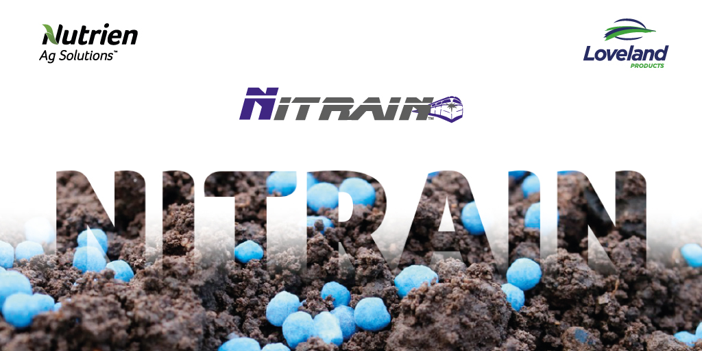 NutrienDigital's tweet photo. ¡Asegurá tu urea!
➡️ Impregnala con Nitrain y lográ un uso 📈 eficiente del nitrógeno.
.
#NutrienAgSolutions #LideráTuLote #Nitrain https://t.co/DPBxMQS0ij