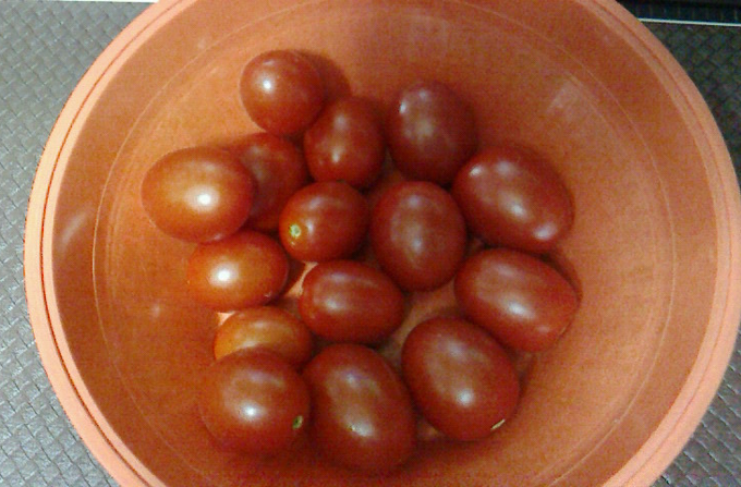 16個収穫( ꈍᴗꈍ) 