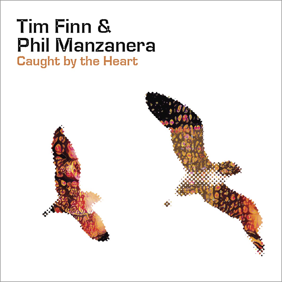 Phil Manzanera tweet media