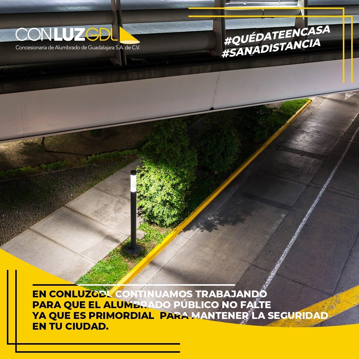 ConLuz Guadalajara tweet media