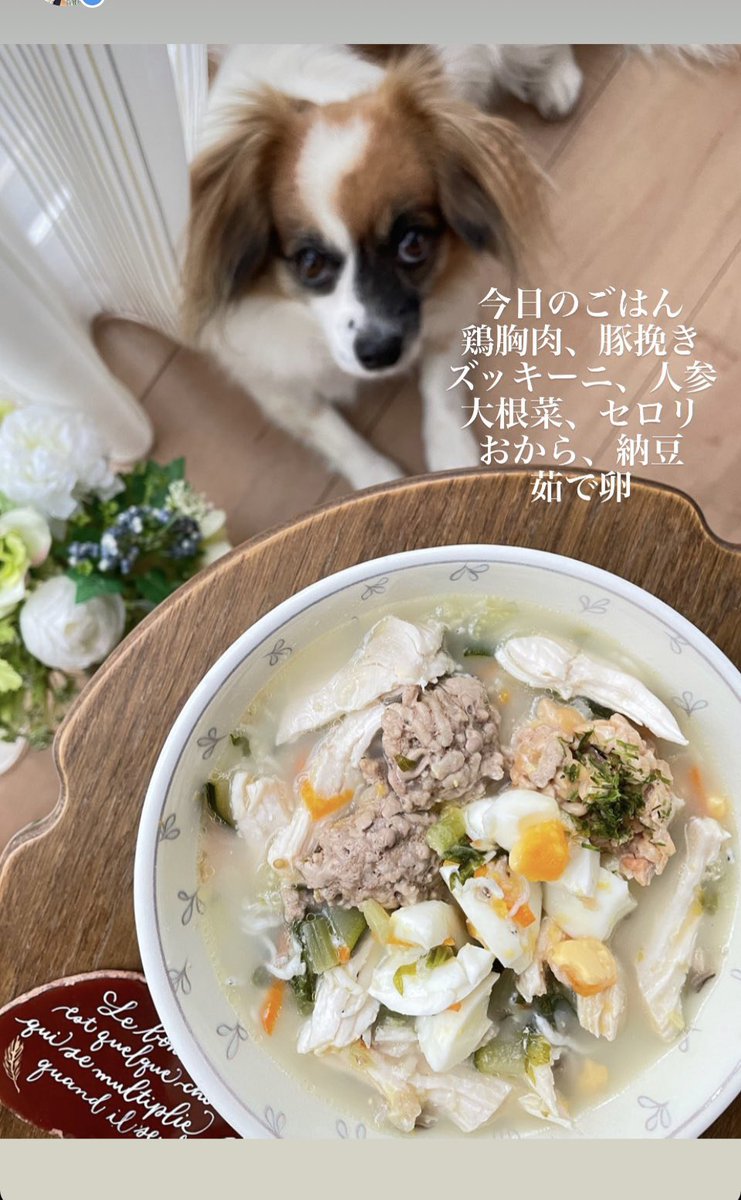 ট ইট র Yuly Love Viva 犬ごはん 今夜の犬ごはん ひき肉をただスプーンで取ってちょっと整えて かなりラフなミートボール 手作りわんこごはん ペット食育 ট ইট র Yuly Love Viva 犬ごはん 今夜の犬ごはん ひき肉をただスプーンで取ってちょっと整えて かなりラフなミートボール 手作りわんこごはん ペット食育