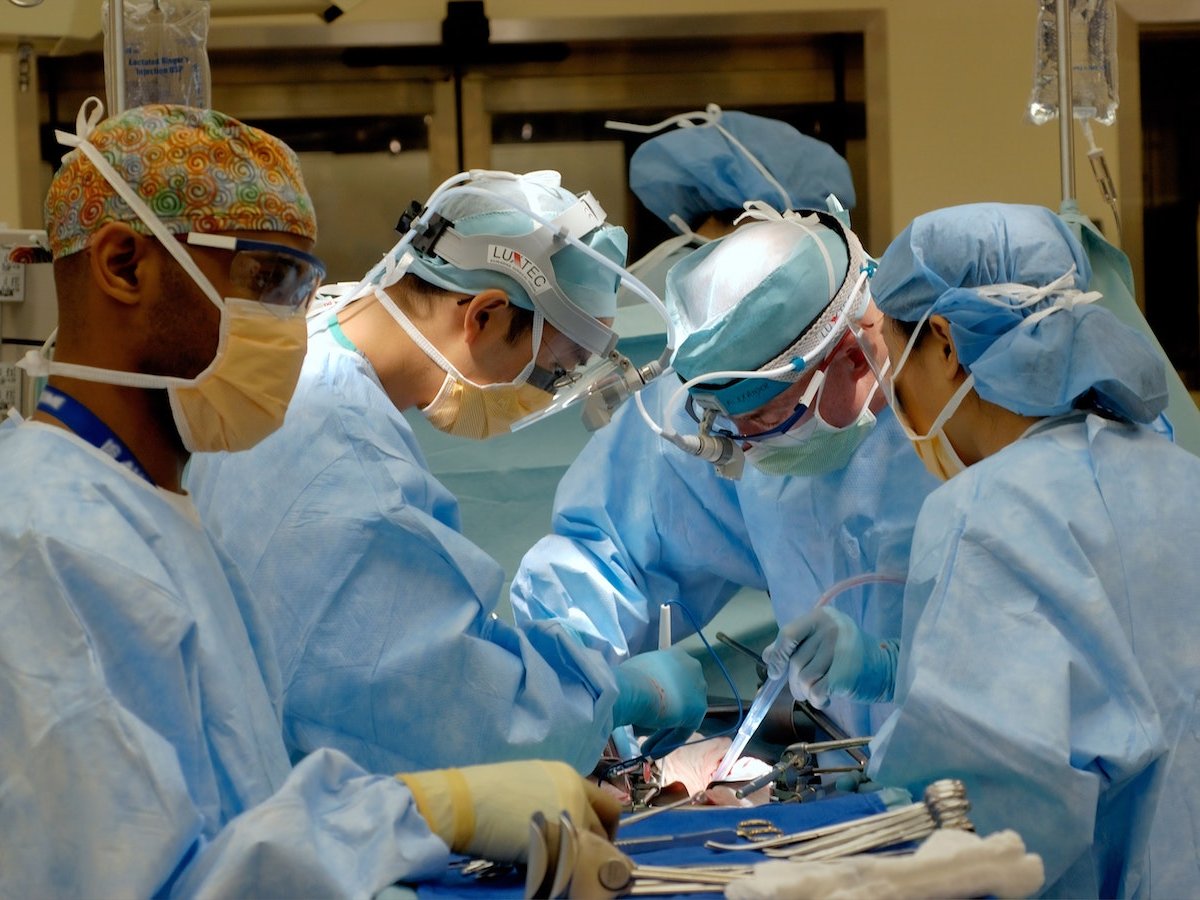 jmirpub's tweet photo. New in JMIR MedEdu: Medical Students’ Perception and Perceived Value of Peer Learning in Undergraduate Clinical Skill Development and Assessment: Mixed Methods Study https://t.co/g3yM2P3CuJ https://t.co/y4JXdgiXO3