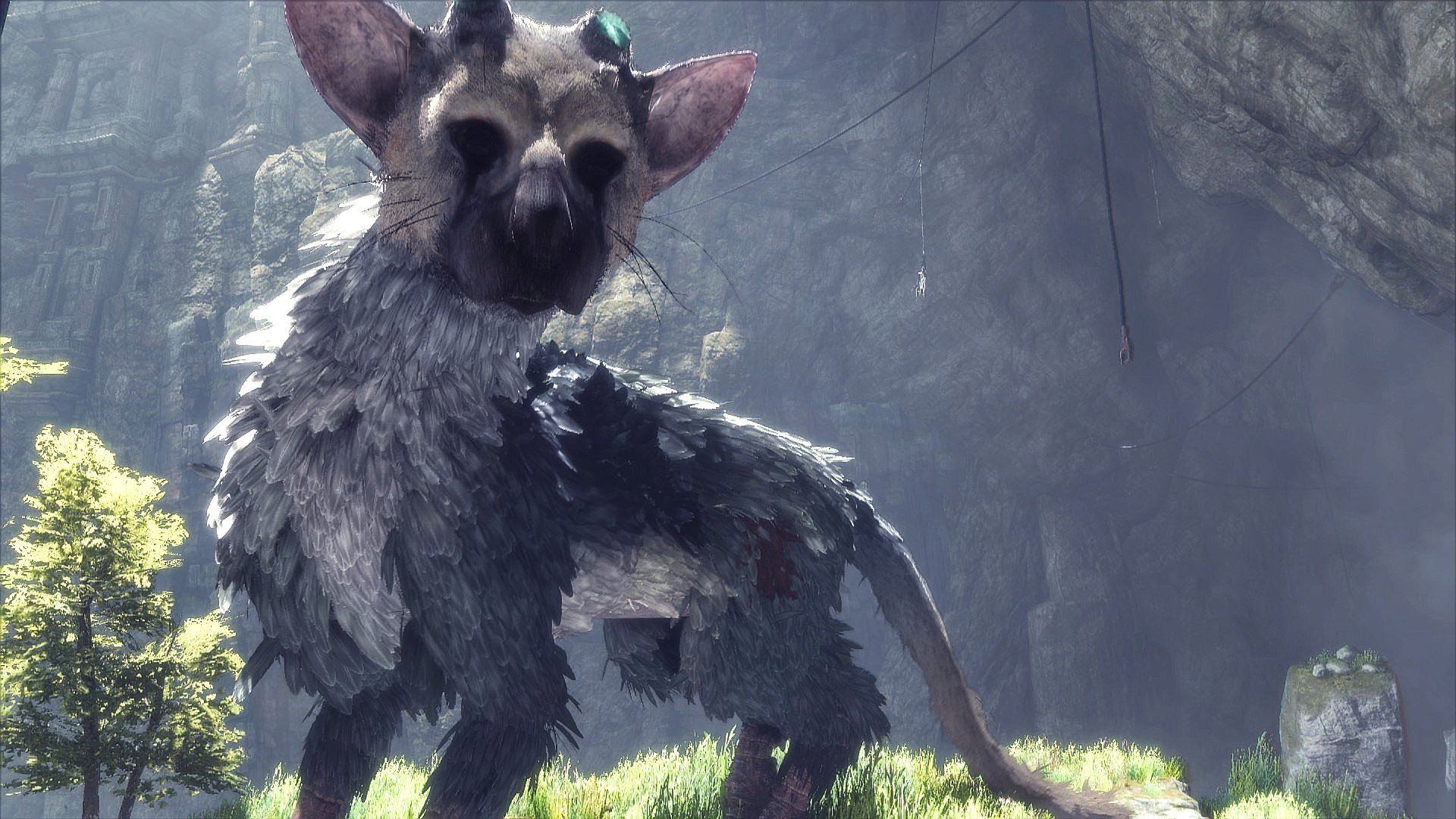 The Last Guardian - #TheQGameCollection #GamingOnTikTok #VideoGames #G