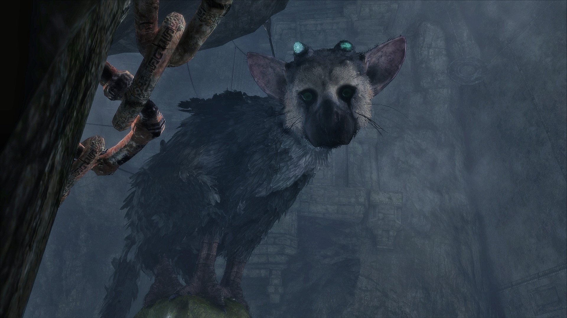 The Last Guardian - #TheQGameCollection #GamingOnTikTok #VideoGames #G