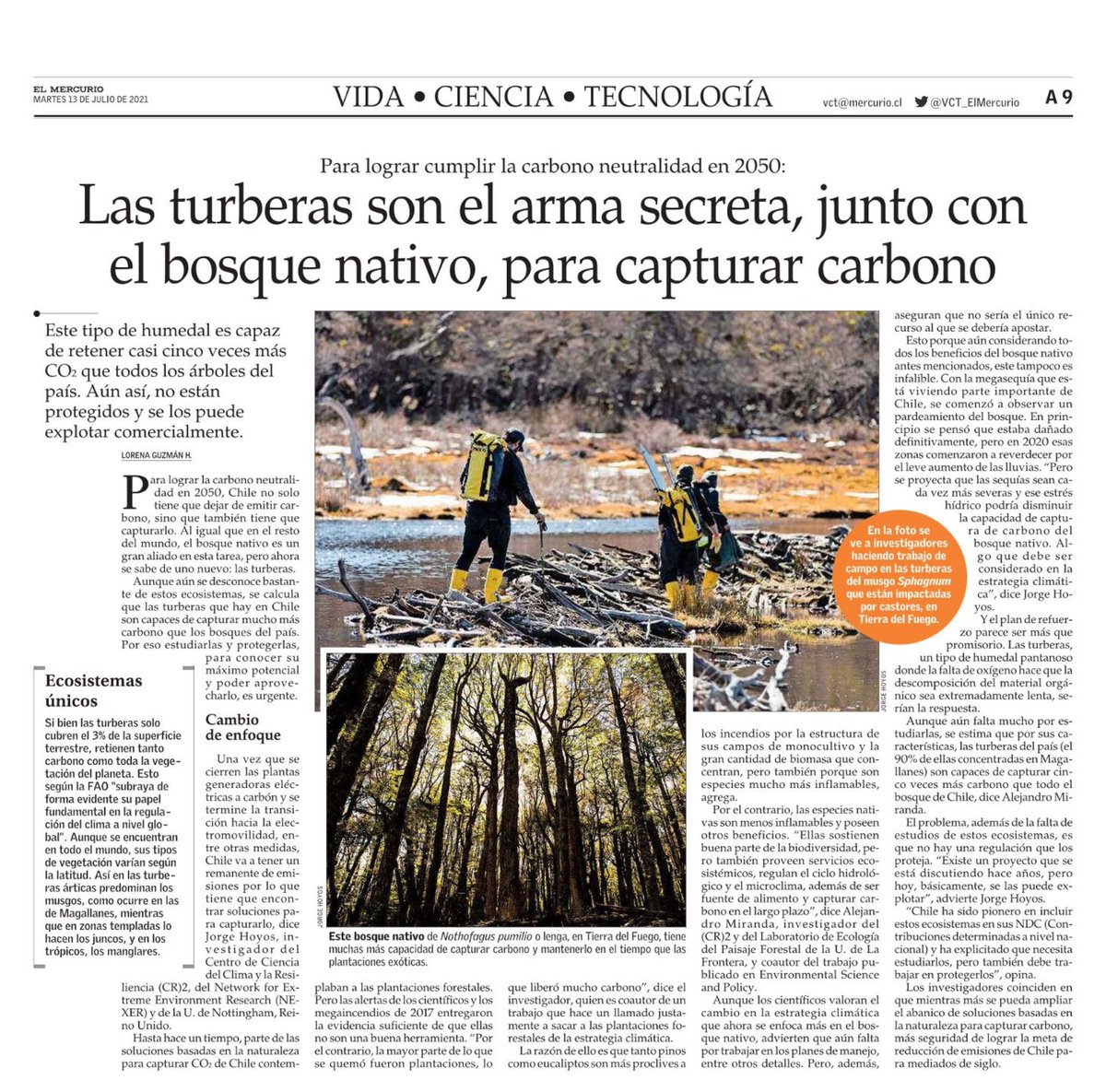 CR2_uchile's tweet photo. 🌿 Las #turberas son el arma secreta, junto con el #bosquenativo, para capturar #Carbono: comentan los investigadores (CR)2 @jhoyosantillan, investigador de @NEXERCHILE @umagallanes, y Alejandro Miranda, investigador @UFRO_LEPFOR | Leer aquí: https://t.co/t0ULWhsl3E