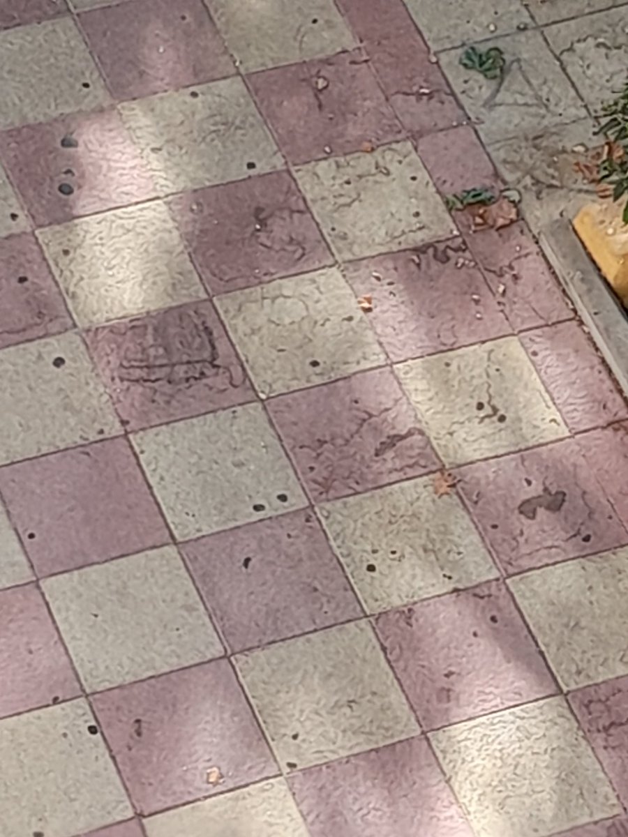 a214r000's tweet photo. @LimpiezaMarbs 
#Marbella Calle Ronda, la calle más dejada de toda Marbella. Cero limpieza. Cero poda de árboles. Nos vamos a juntar todos los vecinos para ir a protestar porque ya es inaguantable. Está fatal el barrio. @marbellasequeja @opjmarbella @AngelesMunoz_ @Ayto_Marbella https://t.co/OPPfsPGLsx
