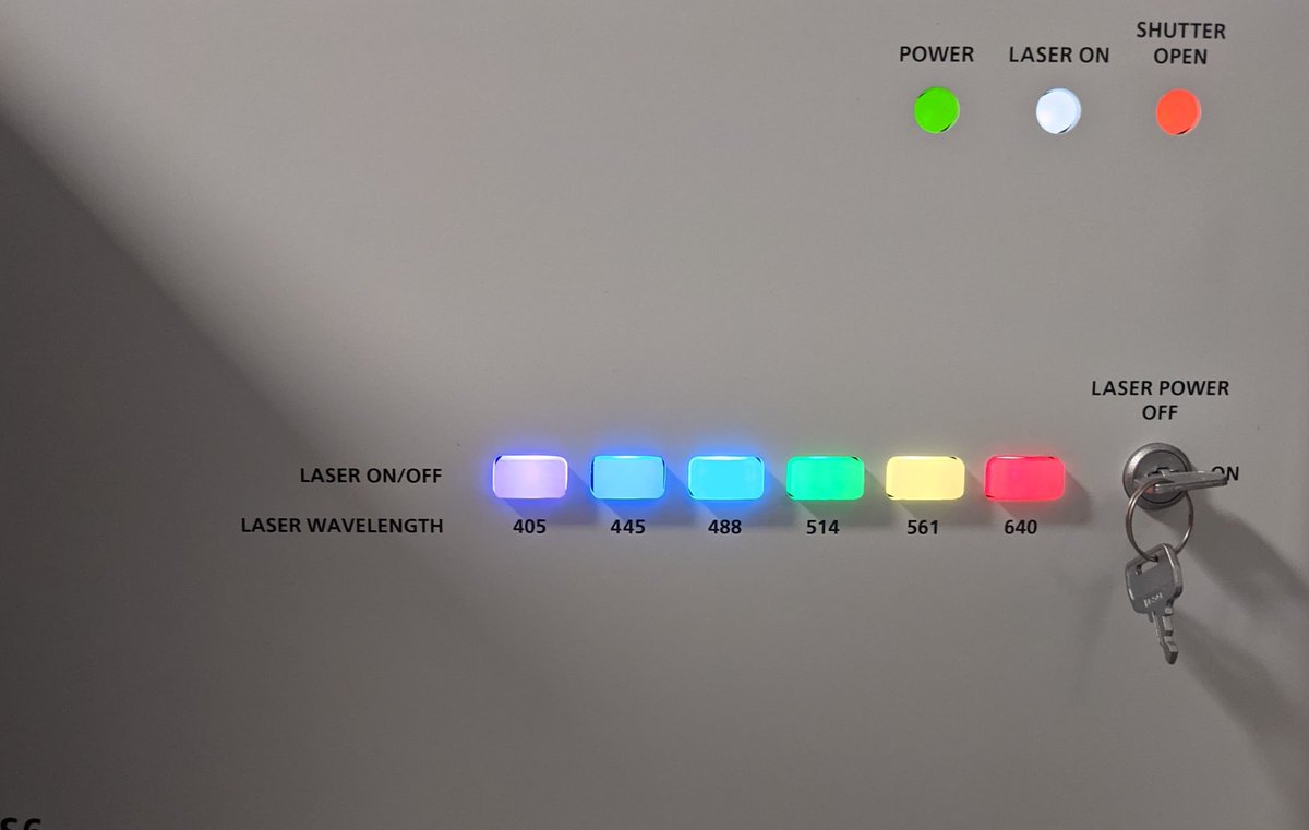 Playing around with a demo/new <a href="/NikonInst/">Nikon Microscope Solutions</a> microscope at <a href="/DiasproLab/">Diaspro Lab</a>, <a href="/IITalk/">IIT</a>! Loving the #rainbow and #italian #pride lights 🤣 🏳️‍🌈🇮🇹