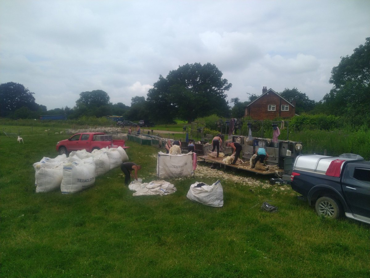 Rob Hodgkins tweet media