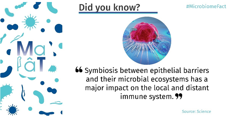 MaaT_Pharma's tweet photo. Today’s #MicrobiomeFact: Did you know?
Efficacy of #cancer #immunotherapy with immune checkpoint inhibitors can be diminished by administration of #antibiotics, as the #gutmicrobiome #ecosystem modulates local and systemic #immunity. #MicrobiomeModulation
https://t.co/Y5tqZf89re https://t.co/OKNaYaGRuo