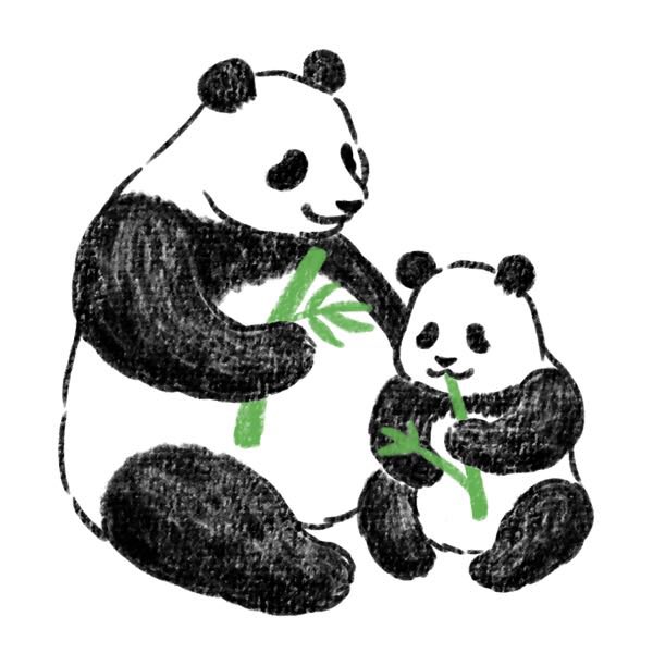 Chippoke ようこ パンダの親子 シンシンとシャンシャン 仲良く笹を食べる微笑ましい姿を描きました パンダ シャンシャン シンシン イラスト デジタルイラスト パンダイラスト T Co Bowl4cysa7 Twitter