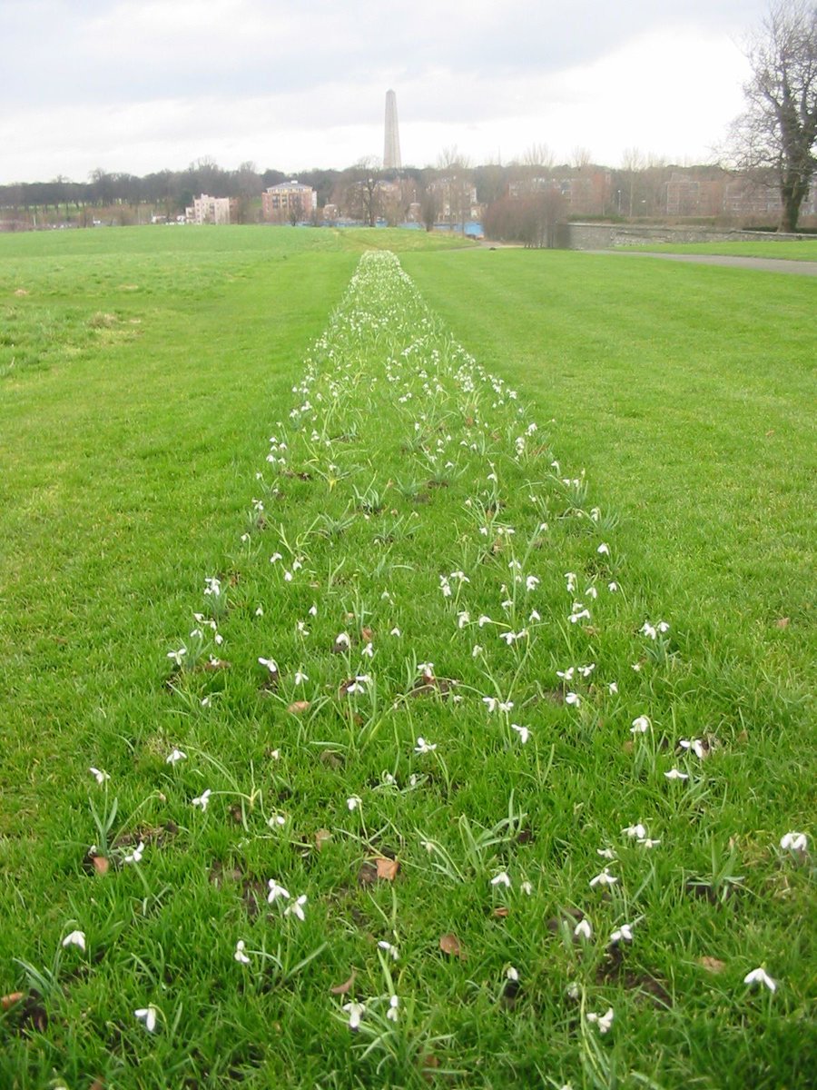 ImmaViewpoints's tweet image. Can you guess which of these artworks this response was given for?

&quot;It&apos;s like they are about to roll away from each other and collapse in a giant heap&quot;