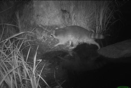 Life MICA tweet media