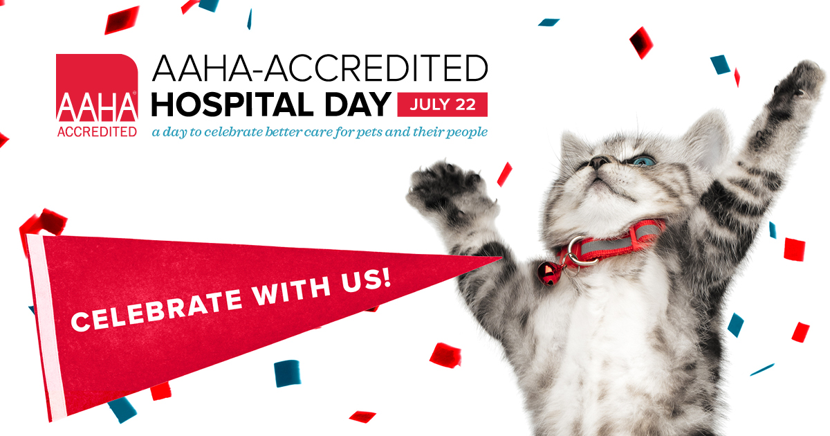 Buckeye Vet Clinic (BuckeyeVetClin) Twitter