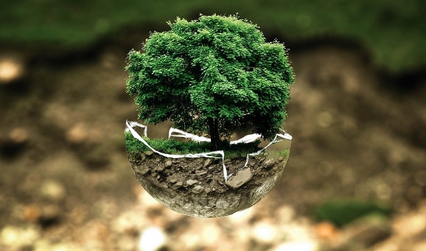 Nissewaard krijgt corona gedenkplaats